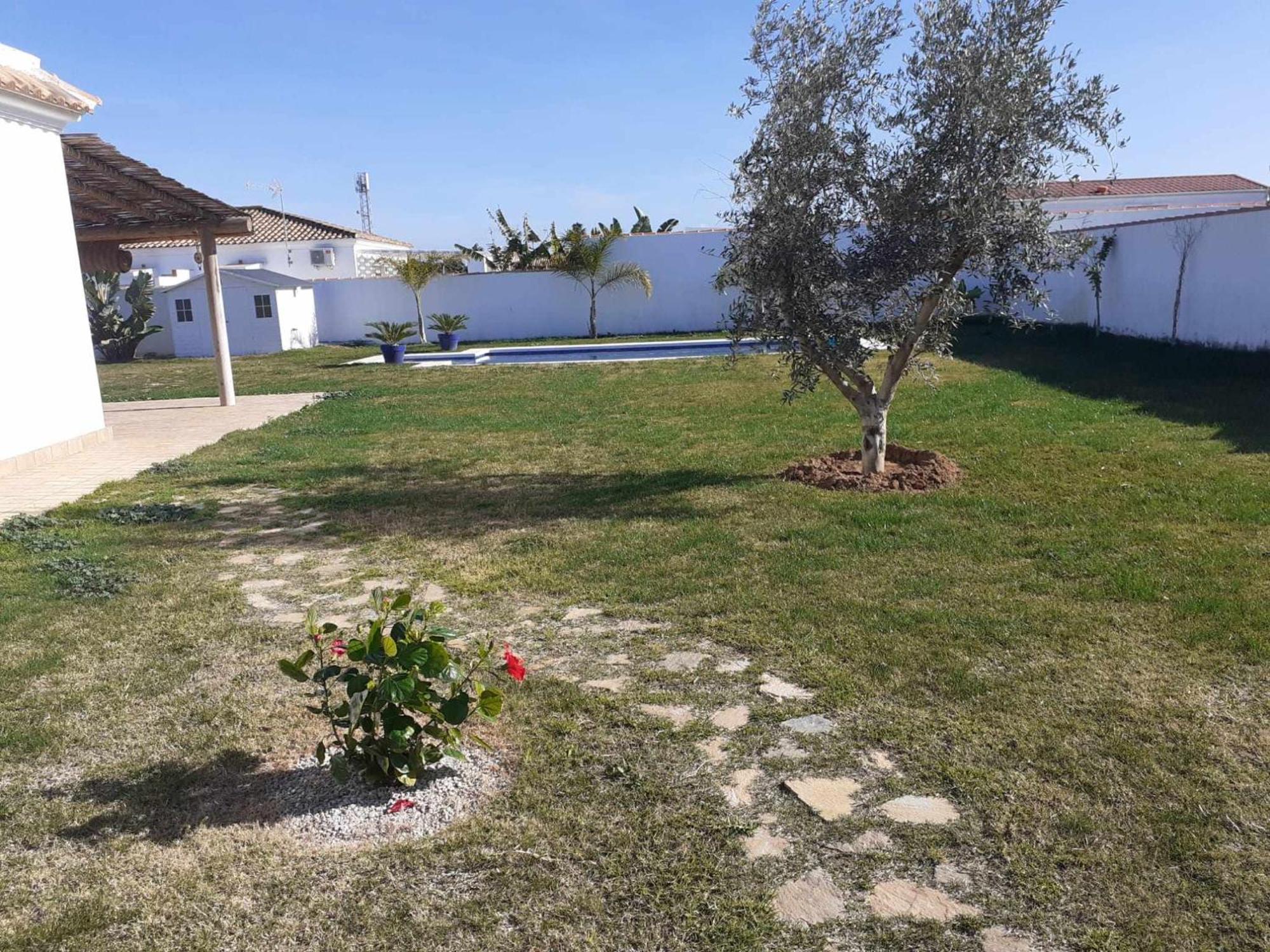 Las Casitas De La Barrosa Con Jardin Y Piscina Chiclana de la Frontera Bilik gambar